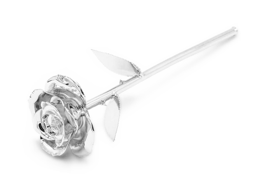 Silverros Afroditeproduktbild #1
