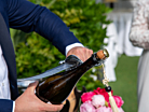 Champagnesabel Fox Sciabola del Sommelierproduktminiatyrbild #2
