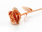 Roséguldros Afroditeproduktminiatyrbild #4