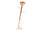Roséguldros Afroditeproduktminiatyrbild #5